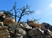 Barker Dam trail