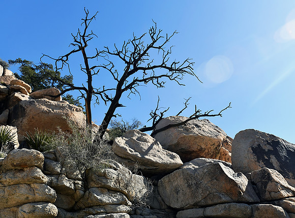 Barker Dam trail