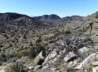 Near Hi-View trail