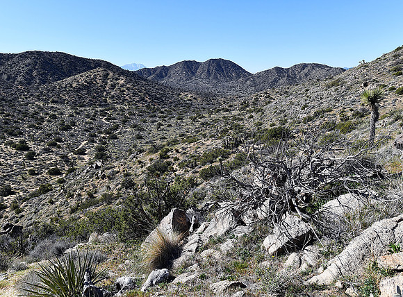Near Hi-View trail