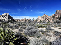 California Desert NPs